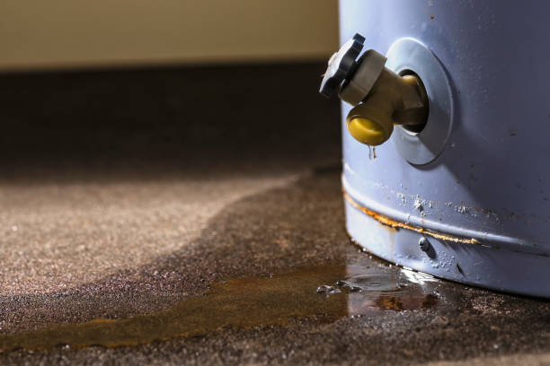 Best Fire Damage Restoration  in Du Quoin, IL