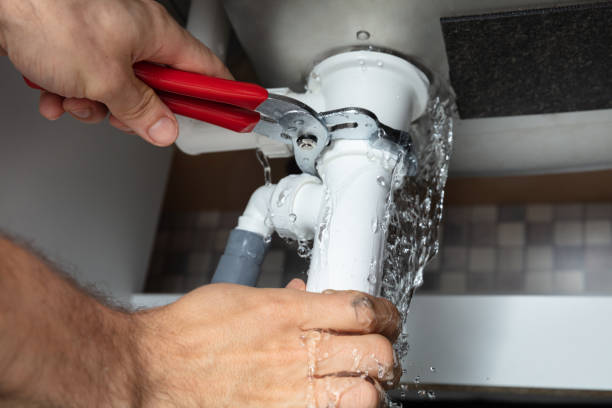 Best Residential water damage restoration  in Du Quoin, IL