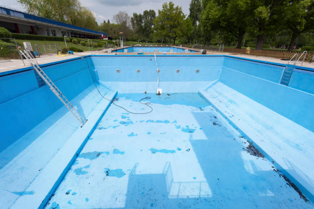 Best Flood restoration services  in Du Quoin, IL