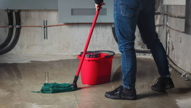 Water damage restoration insurance claims in Du Quoin, IL