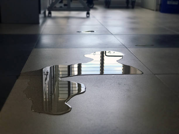 Water damage restoration experts in Du Quoin, IL