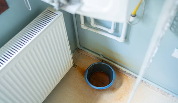 Best Water damage cleanup near me  in Du Quoin, IL