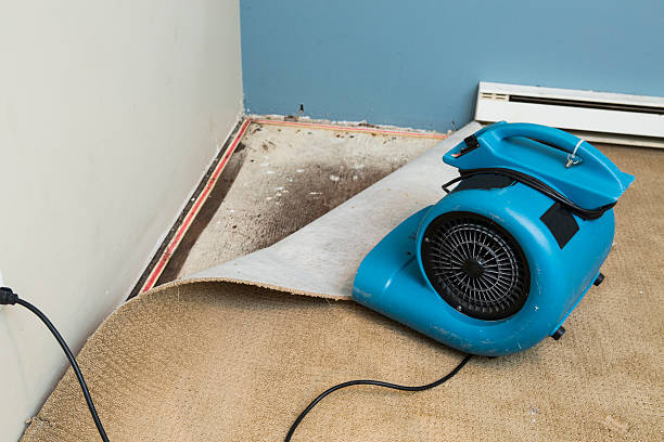 Du Quoin, IL Water damage restoration Company
